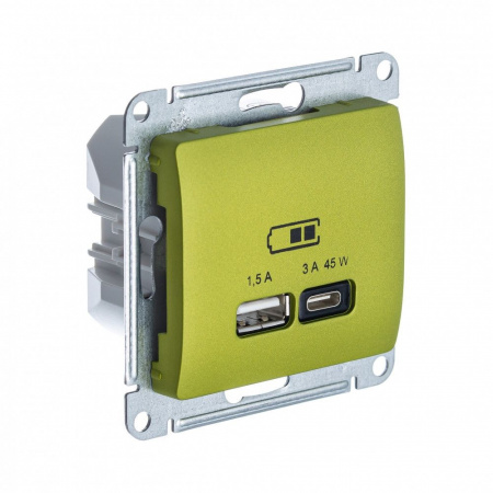 USB Розетка A + тип-C 45W Systeme Electric (Schneider Electric) Glossa высокоскоростная зарядка QC, PD, механизм, ФИСТАШКОВЫЙ