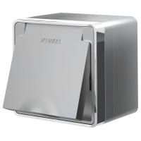 Розетка влагозащ. с зазем. с защит. крышкой и шторками Gallant серебряный Werkel Накладные механизмы Gallant серебряные W5071206