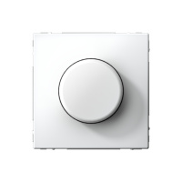 Светорегулятор (диммер) поворотно-нажимной Systeme Electric ArtGallery, LED, RC, 400Вт, лотос  GAL001323