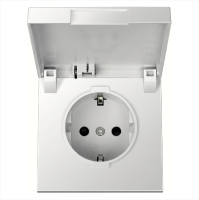 Розетка SCHUKO© с крышкой и защитными шторками 16A 250V~ 2P+T, цвет алюминий Jasmart FD5505PAL