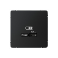 Высокоскоростная розетка USB тип-С Systeme Electric ArtGallery карбон GAL001027
