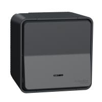 Одноклавишный переключатель в сборе открытой установки с подсветко, IP55 Mureva Styl Schneider Electric MUR35024, антрацит