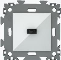 Розетка USB CGSS цв. белый GL-W201U-WCM
