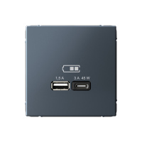 Высокоскоростная розетка USB А+С Systeme Electric ArtGallery грифель GAL000729
