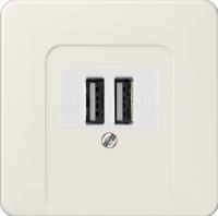 usb розетка | зарядка Jung CD500 260209+569T