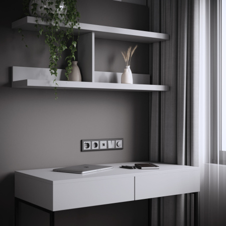 W1171765 Werkel Werkel механизмы серебряные матовый