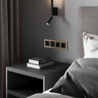 W0043111 Werkel Werkel рамки Senso