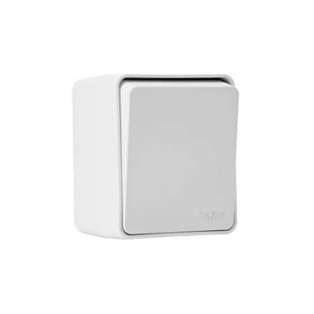 ATN540115 Systeme Electric Schneider Electric Atlas Design Profi 54 (накладной монтаж)