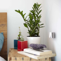 W5020001 Werkel Werkel Gallant цвет белый