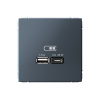 Высокоскоростная розетка USB А+С Systeme Electric ArtGallery грифель GAL000729