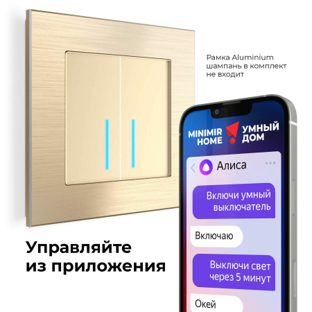 W4520611 Werkel Werkel механизмы сенсорные шампань