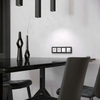 W0042608 Werkel Werkel рамки Platinum