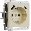 Розетка с заземлением, шторками и usb Werkel акрил айвори винтовая клемма (W1171743)