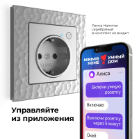 W1171606 Werkel Werkel механизмы серебряные