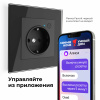W1171608 Werkel Werkel механизмы черные матовые