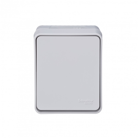 ATN540161 Systeme Electric Schneider Electric Atlas Design Profi 54 (накладной монтаж)