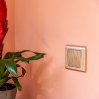 W0012111 Werkel Werkel рамки Stream