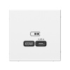 Высокоскоростная розетка USB тип-С Systeme Electric ArtGallery лотос GAL001327