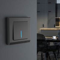 W0011808 Werkel Werkel рамки Stark