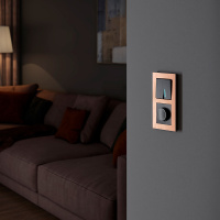 W0021712 Werkel Werkel рамки Aluminium