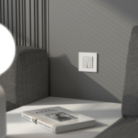 W0013101 Werkel Werkel рамки Senso