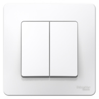 BLNVS106601 Systeme Electric Schneider Blanca цвет белый