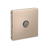 GAL001291 Systeme Electric Schneider Electric ArtGallery цвет песочный